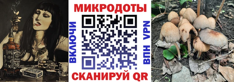 Галлюциногенные грибы Psilocybine cubensis  Купить где  Райчихинск 